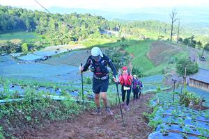 BIB: 
                            <button type="button" onclick="openModal(13383704)" class="btn btn-primary btn-sm float-right btn-popup" data-toggle="modal" data-target=".modal-high-quality">
                        <i class="fas fa-shopping-cart"></i> Add to Cart
                    </button>
                                            <button type="button" onclick="isThisMe(13383704, true)" class="btn btn-success btn-sm float-right btn-popup btn-isme hidden" data-toggle="tooltip" data-placement="bottom" title="นี่คือรูปของคุณใช่ไหม คลิกที่นี่เพื่อเอาเข้าอัลบั้ม">
                        <i class="fas fa-plus"></i> Add to album
                    </button>
                    <button type="button" onclick="isThisMe(13383704, false)" class="btn btn-warning btn-sm float-right btn-popup btn-isnotme hidden">
                        <i class="fas fa-ban"></i> Remove from album
                    </button>